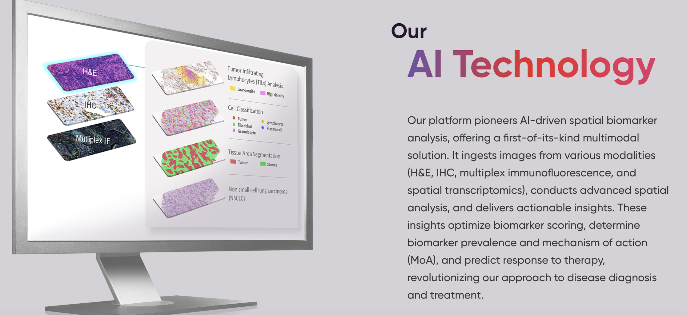 Nucleai harnesses the power of AI to analyze pathology images and spatial data at the cellular and tissue levels