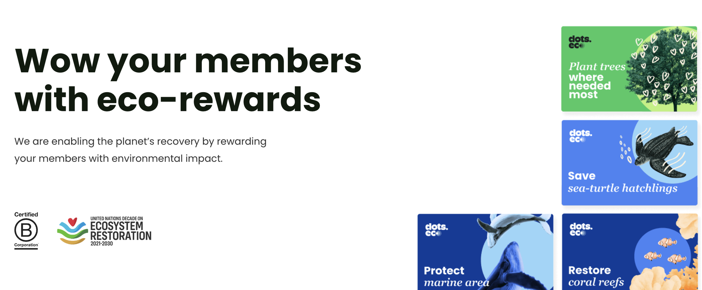 Dots.eco environmental impact milestones